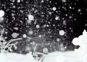 Create a Dark Snow Night and Snow Covered Trees