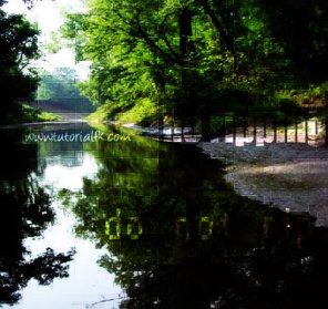 Vibrant Mosaic Tile Overlay